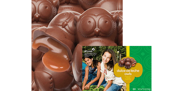 Owl shaped chocolates with caramel center