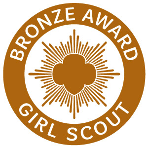 Bronze Award