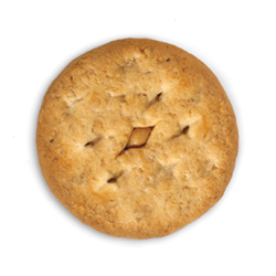Circular Peanut Butter Sandwich Cookie