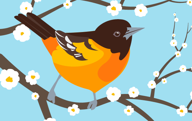 Renew During Early Bird! 