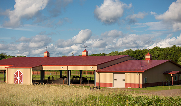 Horse Stables