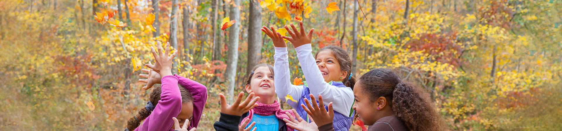  A group of girls throwing Fall leaves into the air 