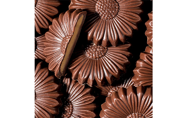 Dulce Daisies