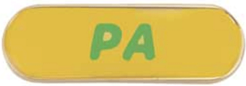 Program Aide